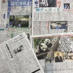 Item thumbnail for item 63eff494-db54-4e51-90df-bc8f1d07c161