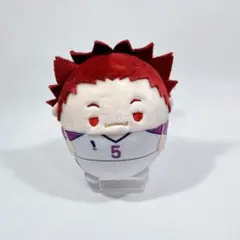 ハイキュー!! ふわコロりん 天童覚