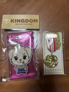 ◎即購入 三代目　KINGDOM クリアケース　岩田剛典　GUN GAN