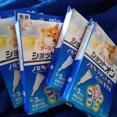 セール】アイズワン 犬用サプリメント 30g DHA/EPA【2026.8】 - メルカリ