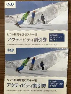 『日本駐車場開発 株主優待 スキー場 アクティビティ割引券 2枚』