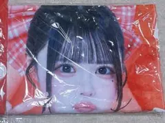 Item thumbnail for item 73745b3e-1c48-4240-a442-294c4ae3ed72