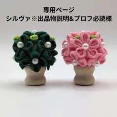 専用ページ シルヴァ※出品物説明&プロフ必読様 お花