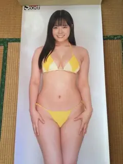 2025年最新】アサ芸シークレットポスターの人気アイテム - メルカリ