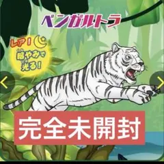 しまじろう様 リクエスト 2点 まとめ商品