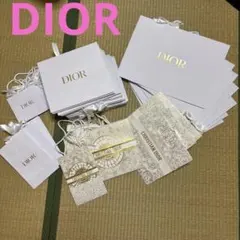 Dior ショッパー袋　まとめ売り　３２枚プラス１枚（おまけ）お値下げ不可