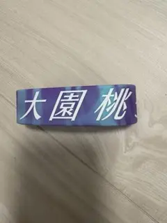 Item thumbnail for item 02820b19-bc14-4220-a293-ee3e24b555bc