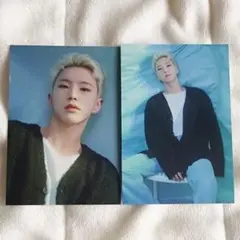 SEVENTEEN ホシ HOSHI トレカ カメラ HYBEINSIGHT b