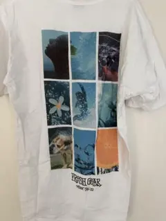 STUSSY FRESH GEAR Tシャツ Lサイズのサムネイル