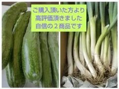 284様 リクエスト 3点 まとめ商品