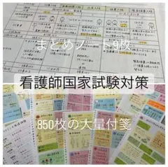 看護師国家試験対策 850枚の大量付箋+9枚のまとめノート