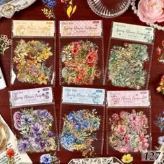 Item thumbnail for item ce5d7e61-a314-43ee-a1d1-99baec9a36d9