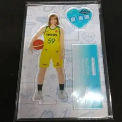 Wリーグ 星杏璃 エネオス アクリルスタンド ENEOSサンフラワーズ