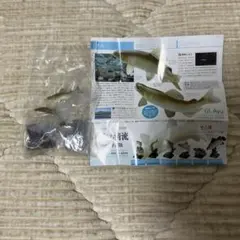 日本の清流　アユ　新品未開封　ネイチャーテクニカラー