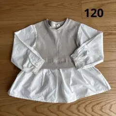 terawear emu 120サイズ 長袖チュニック