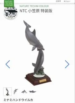 ミナミハンドウイルカ　ネイチャーテクニカラー NTC 小笠原特装版