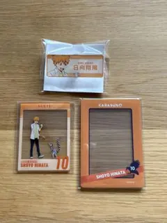 ハイキュー 東武動物公園コラボ 硬質ケース、クリアカード、ネームプレート 日向