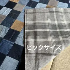 Item thumbnail for item 1e56d8df-7e55-489f-bc49-729daabcf0bb