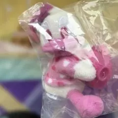 ディズニー　ぬいぐるみチャーム　ドナルド　ミニパル　ファンダーランド