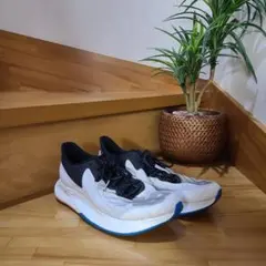 ✨履き潰せ！最終値下げ✨new balanceランニングシューズ ・27cm