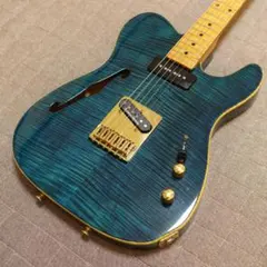 10212】 FGN フジゲン Neo classic テレキャスタータイプ - メルカリ