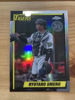 Item thumbnail for item 8787edaa-1aec-4018-83b6-7789b58b6c2e