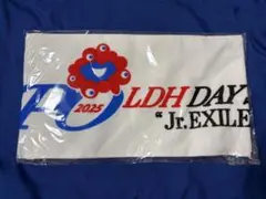EXPO2025 LDH タオル
