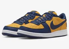 NIKE TERMINATOR LOW MICHIGAN US10