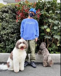 Item thumbnail for item 437491d2-c579-4051-a1da-4f751f3b4086