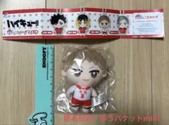 かぷっこふれんず2 ハイキュー　夜久衛輔