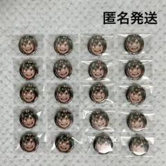 ヒロアカ 緑谷出久 スペシャル ディスプレイ 缶バッジ 20点