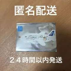 치이카와 ANA ステッカー 飛行機型
