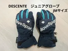 DESCENTE　MoveSport 防寒グローブ ネイビー/ターコイズ