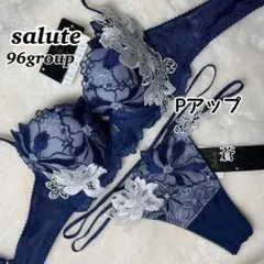 サルート96グループPアップブラソングセット(ネイビー)