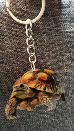 リクガメ　亀　カメ　キーホルダー