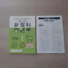 観点別 新理科問題集 1年 解答と解説付きのサムネイル
