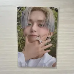starkissed ヨンジュン