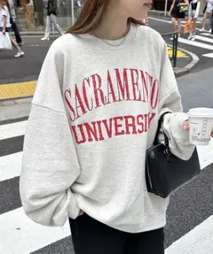 【ユニセックス/WEB限定】ヴィンテージライクヒビワレロゴスウェット