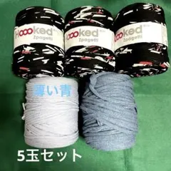 中古】ズパゲッティ5玉　DMC Hoooked Zpagetti フックドゥ