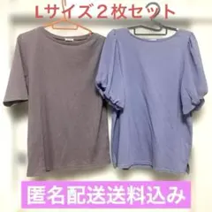 ハニーズシネマクラブ　半袖カットソー　Ｌサイズ　試着のみ　２枚セット　匿名配送込のサムネイル