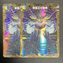 聖霊王の聖典 アルカディアスバイブル シークレット シク - メルカリ