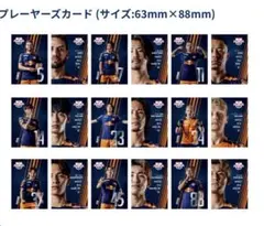 【かなみちゃん様専用】大宮アルディージャ　プレイヤーズカード2枚
