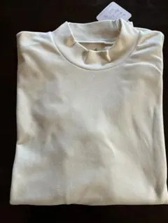 Item thumbnail for item f0a3805b-ae97-42c6-ad9b-efce64e318b4