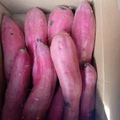 茨城県紅はるかLサイズ以上10kgのサムネイル