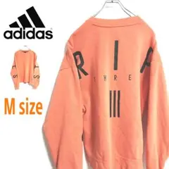 adidas アディダス Art ビッグロゴ スウェット トレーナー