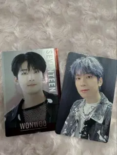 SEVENTEEN セブチ ウォヌ トレカ ステッカー シール