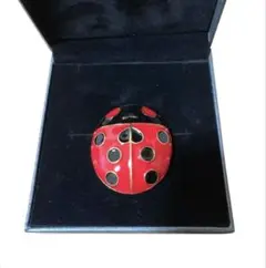 2025年最新】ジョジョ ブローチ てんとう虫の人気アイテム - メルカリ