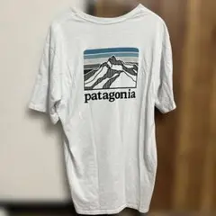 patagonia 半袖 Tシャツ ホワイト メンズ Mサイズ
