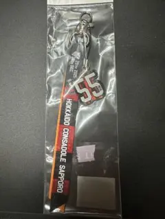 北海道コンサドーレ札幌 ボンフィン　宮大樹