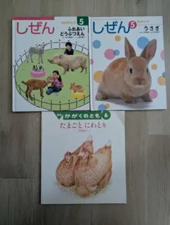 Item thumbnail for item 07dfd241-2d84-4585-a92c-07d48121d098